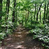 Review photo of Medoc Mountain State Park Campground by Myron C., May 30, 2019