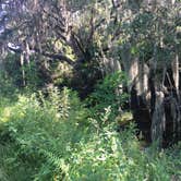 Review photo of Little Talbot Island State Park Campground by Shannon C., August 31, 2016