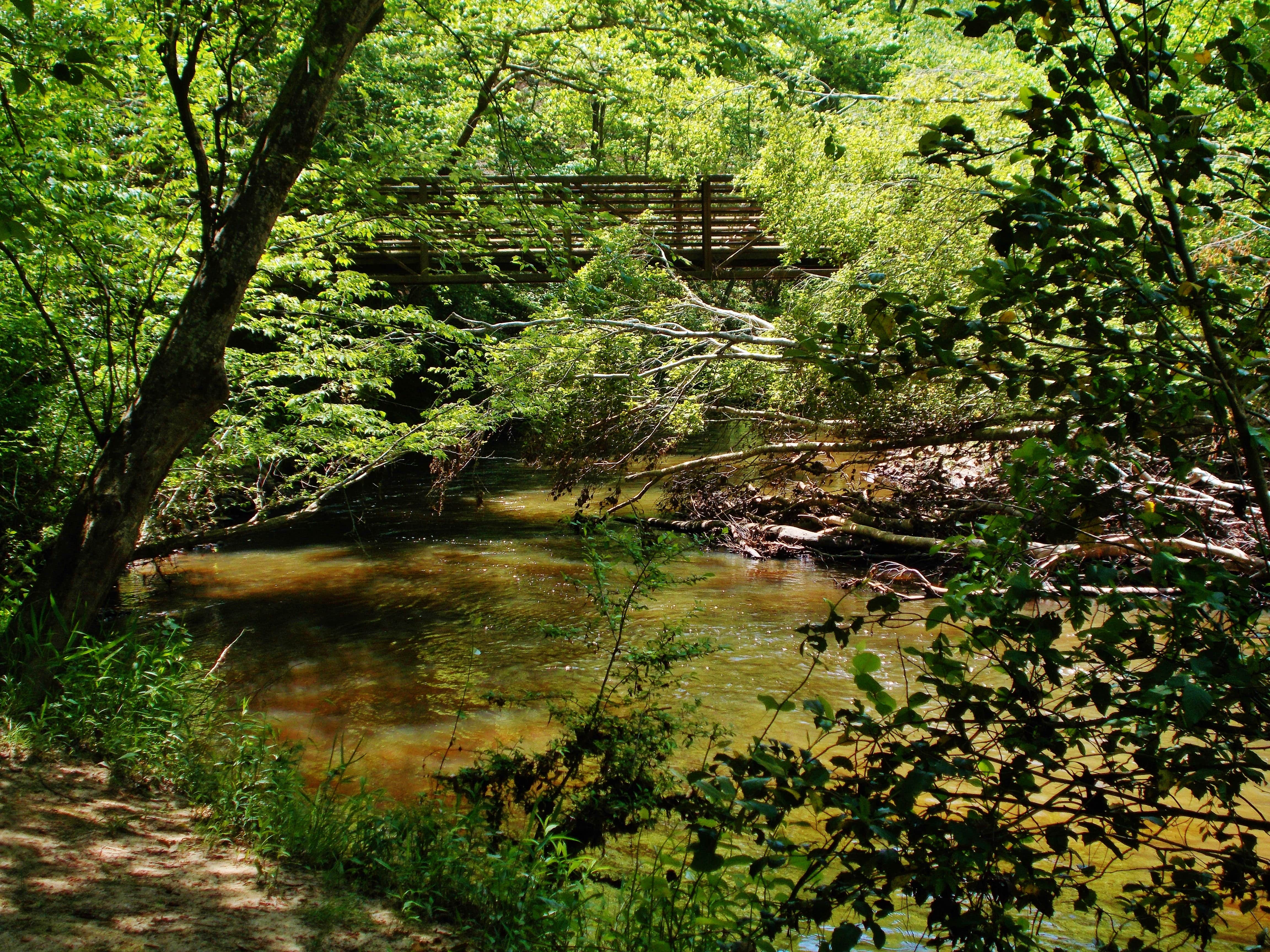 Escape to the Majestic Peaks: Your Guide to Medoc Mountain State Park