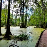 Review photo of Merchants Millpond State Park Campground by Myron C., May 30, 2019