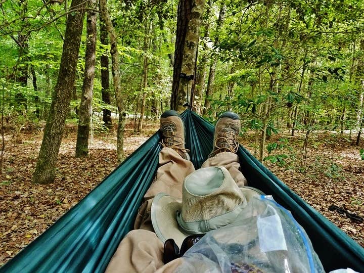 Camper submitted image from Family Campground — Merchants Millpond State Park - 4