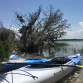 Review photo of Little Talbot Island State Park Campground by Shannon C., August 31, 2016