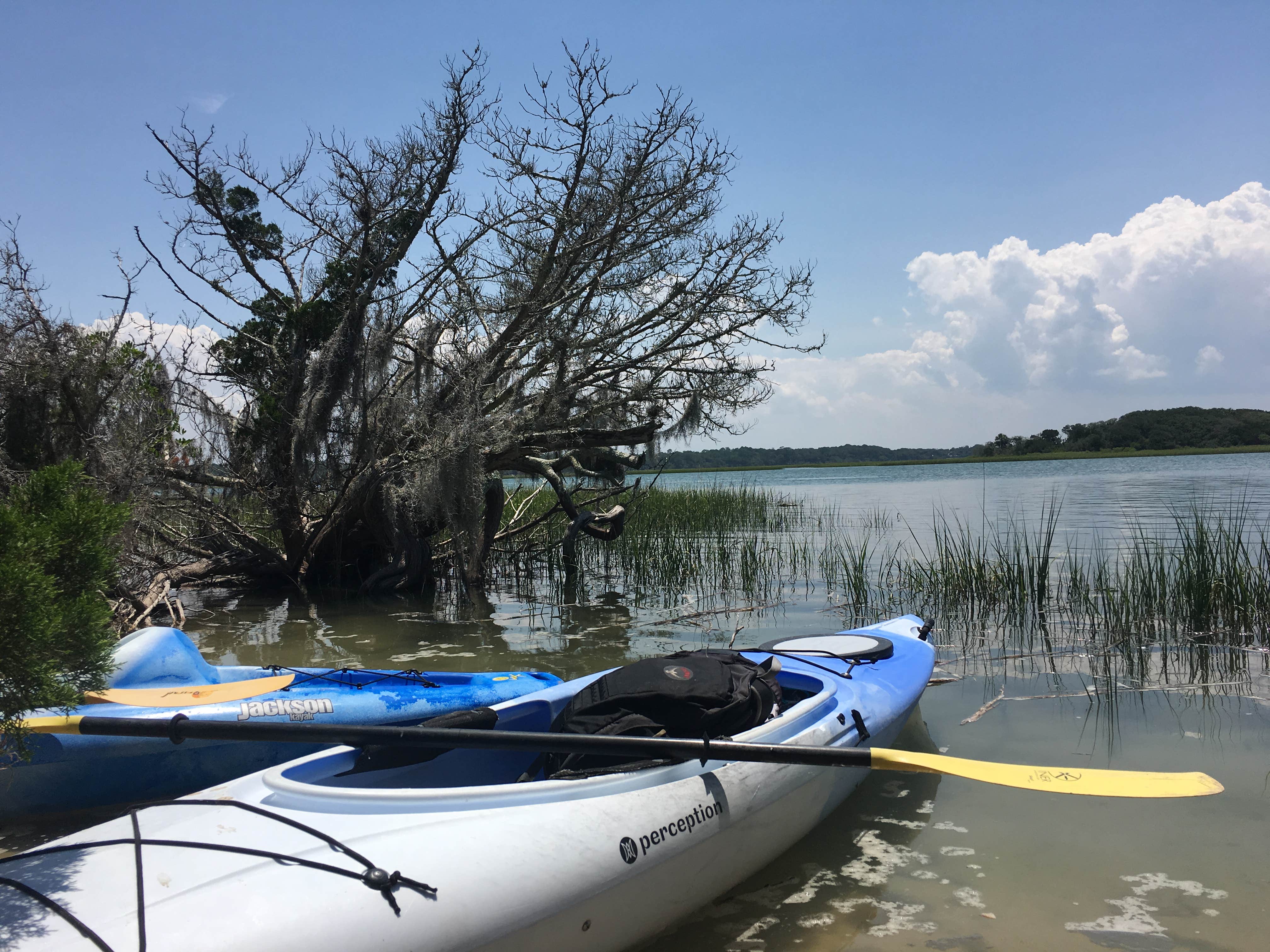 Camper submitted image from Little Talbot Island State Park Campground - 3