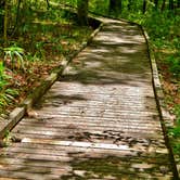 Review photo of Merchants Millpond State Park Campground by Myron C., May 30, 2019