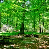 Review photo of Merchants Millpond State Park Campground by Myron C., May 30, 2019