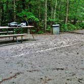 Review photo of Merchants Millpond State Park Campground by Myron C., May 30, 2019