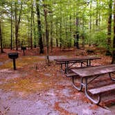 Review photo of Merchants Millpond State Park Campground by Myron C., May 30, 2019