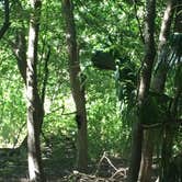 Review photo of Little Talbot Island State Park Campground by Shannon C., August 31, 2016
