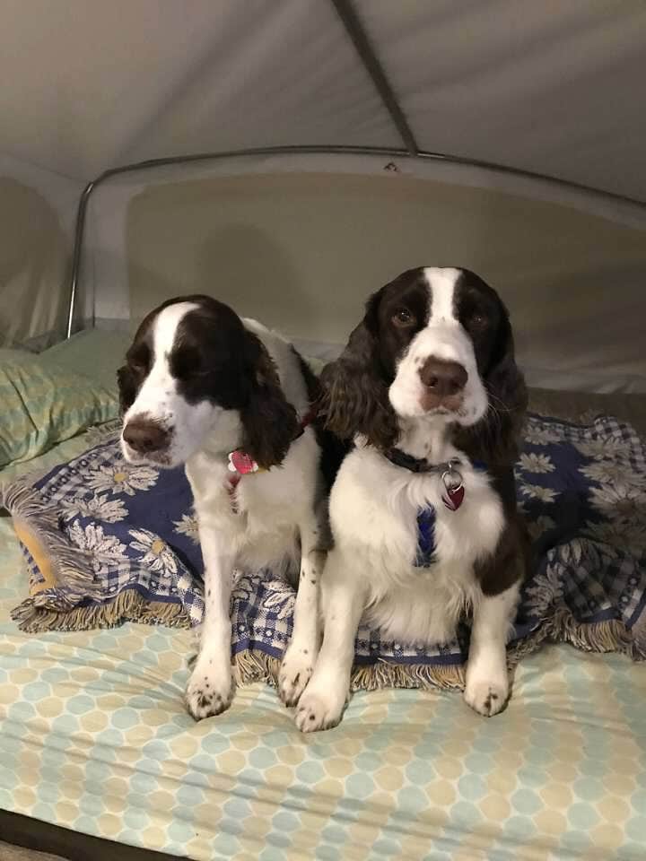Joel R.'s photo of glamping accommodations at Sallisaw-Fort Smith West KOA near Hulbert, OK