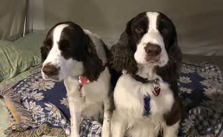 Joel R.'s photo of glamping accommodations at Sallisaw-Fort Smith West KOA near Greenwood, AR