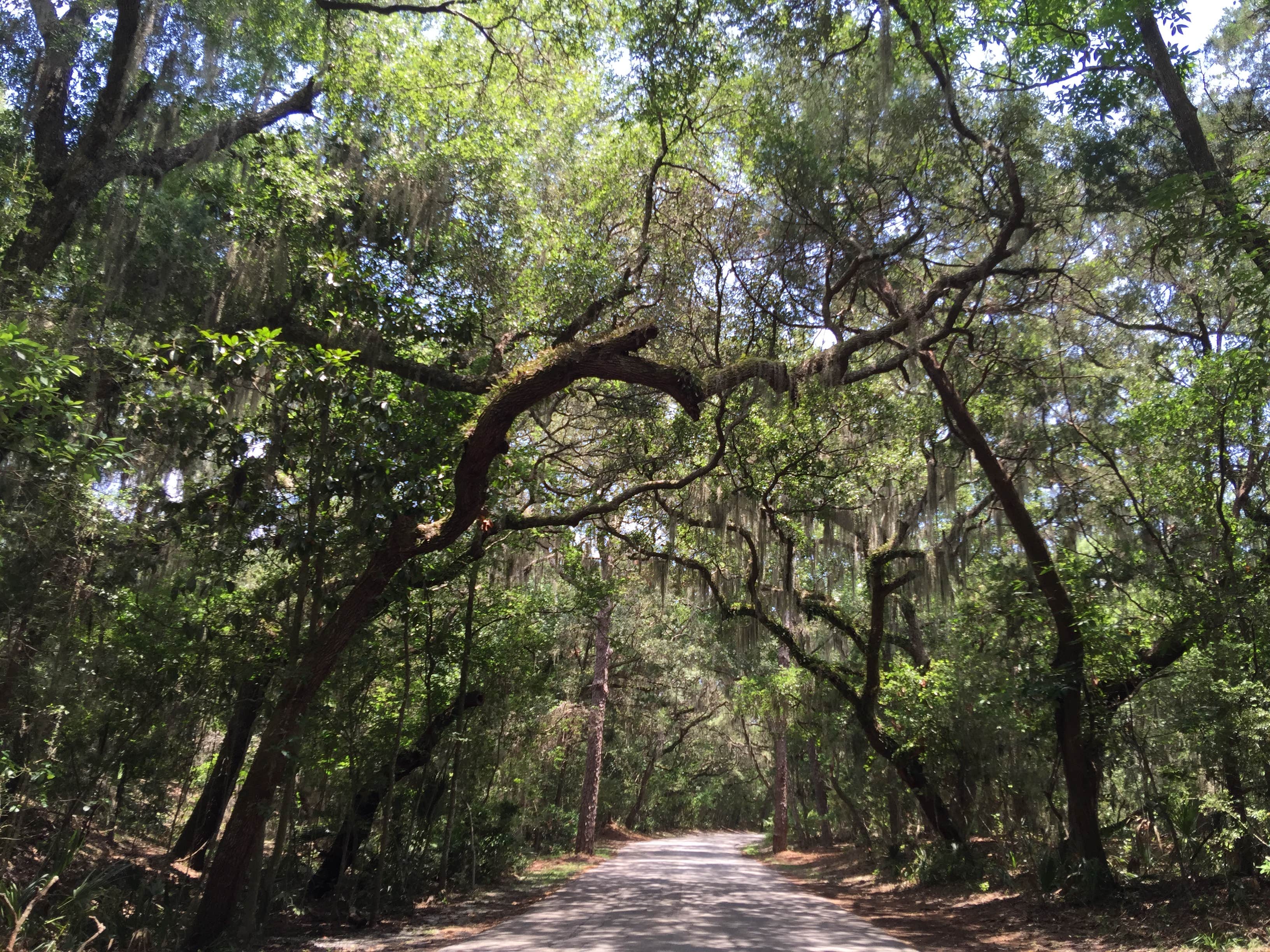 Camper submitted image from Atlantic Beach Campground — Fort Clinch State Park - 2