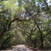 Review photo of Fort Clinch State Park Campground by Shannon C., August 31, 2016