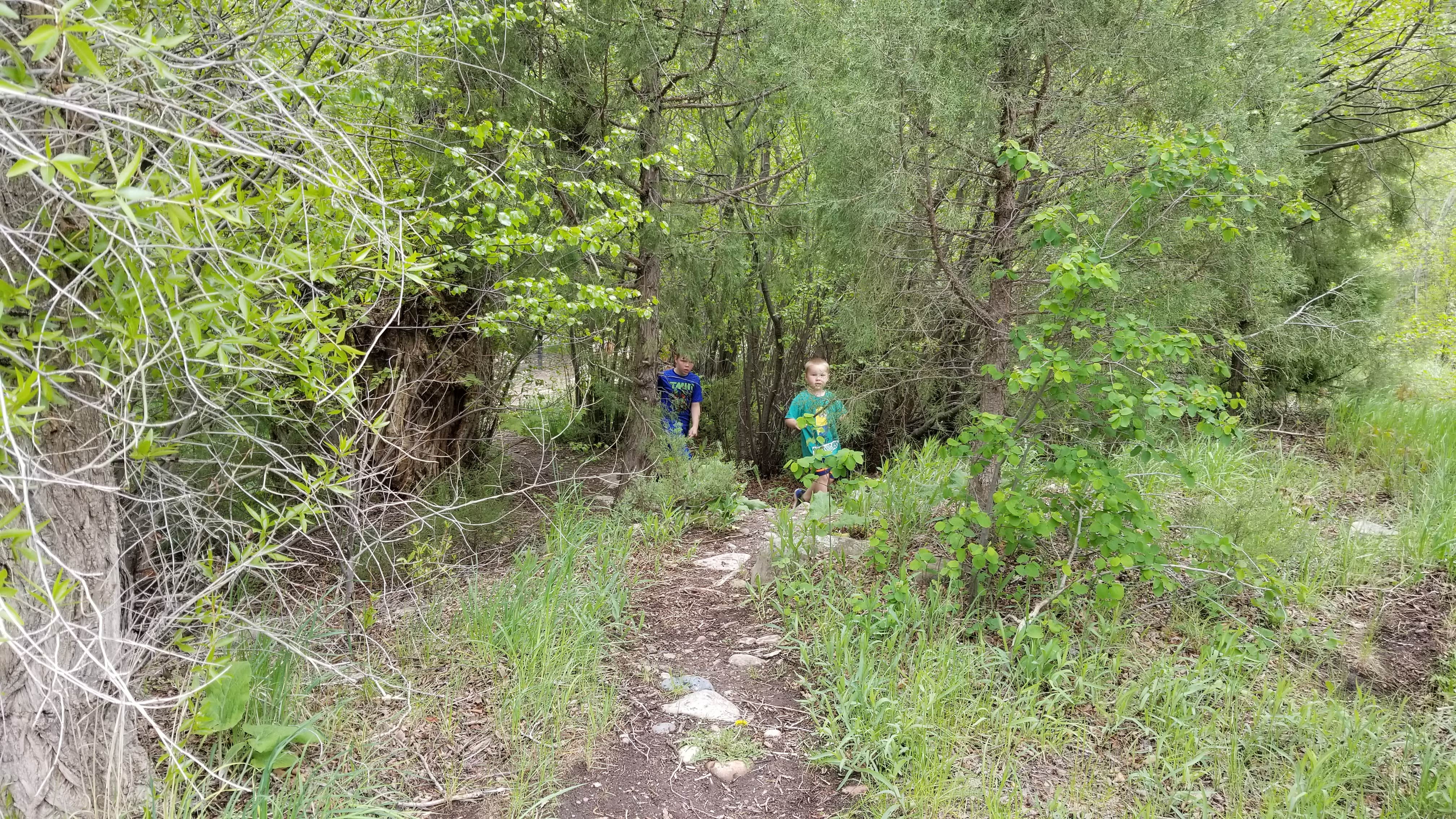 Camper submitted image from BLM Lower Beaver Campground - 2
