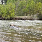 Review photo of BLM Lower Beaver Campground by Melissa K., May 30, 2019