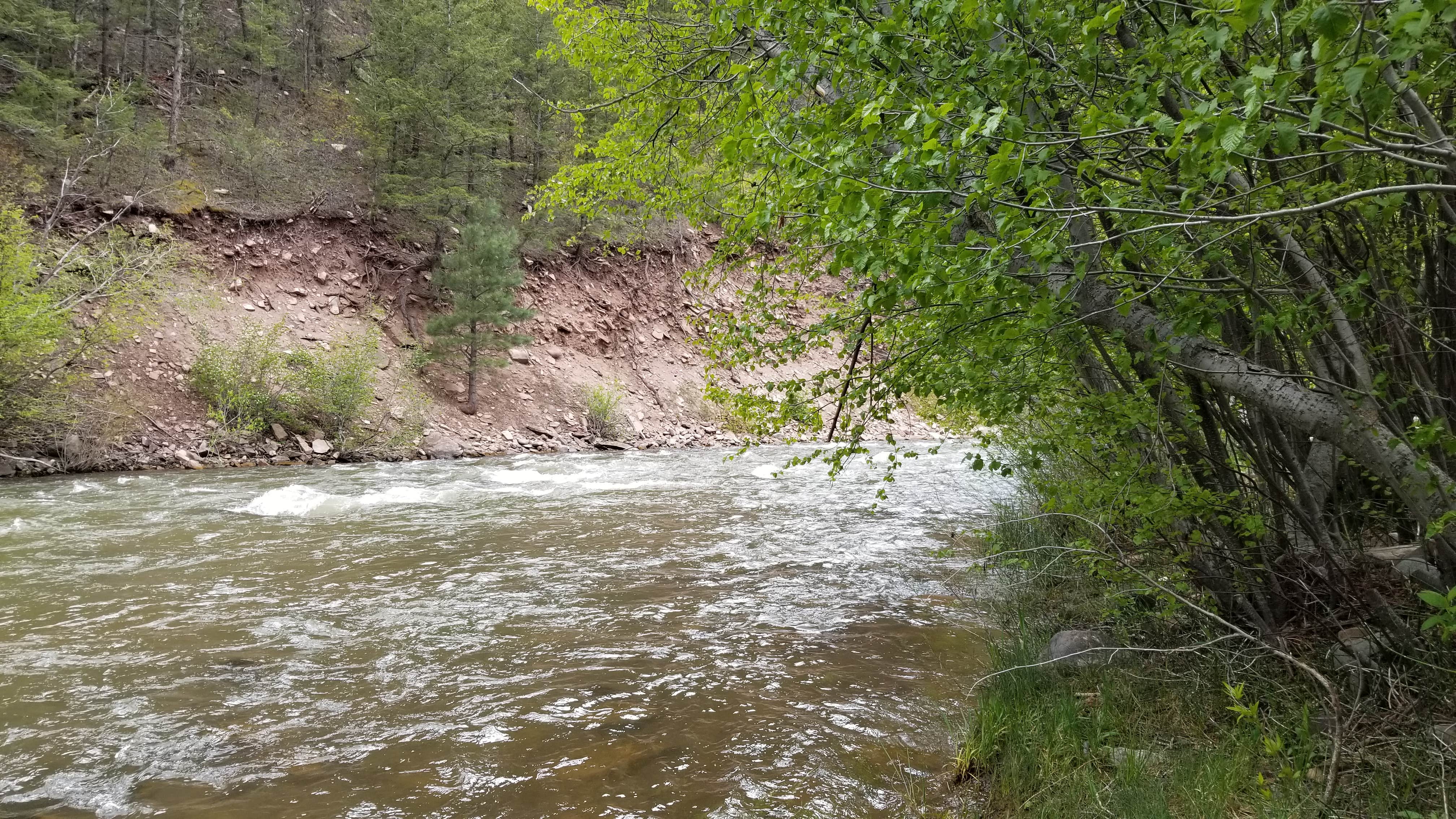 Camper submitted image from BLM Lower Beaver Campground - 2