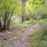 Review photo of BLM Lower Beaver Campground by Melissa K., May 30, 2019