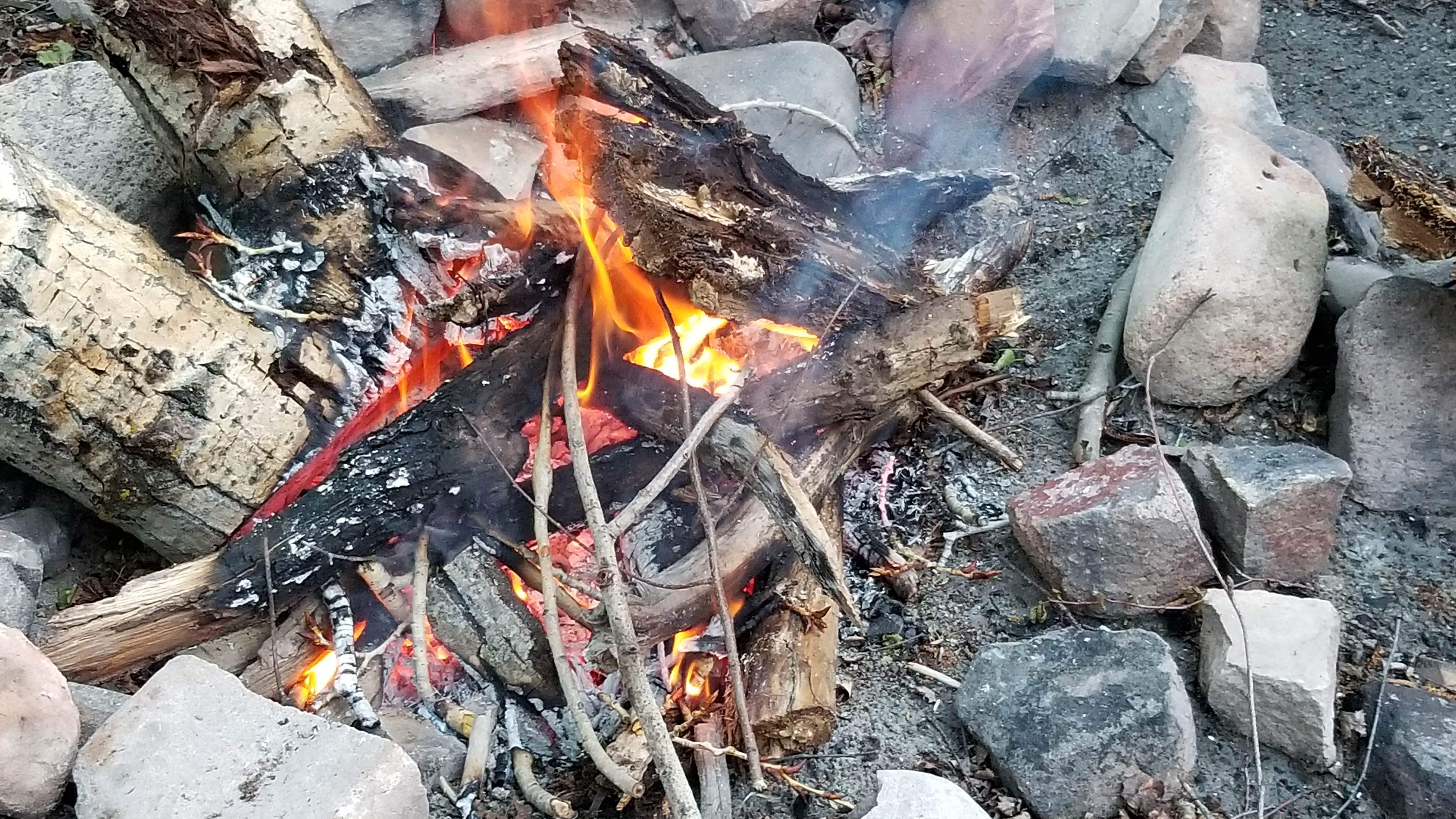 Camper submitted image from BLM Lower Beaver Campground - 5