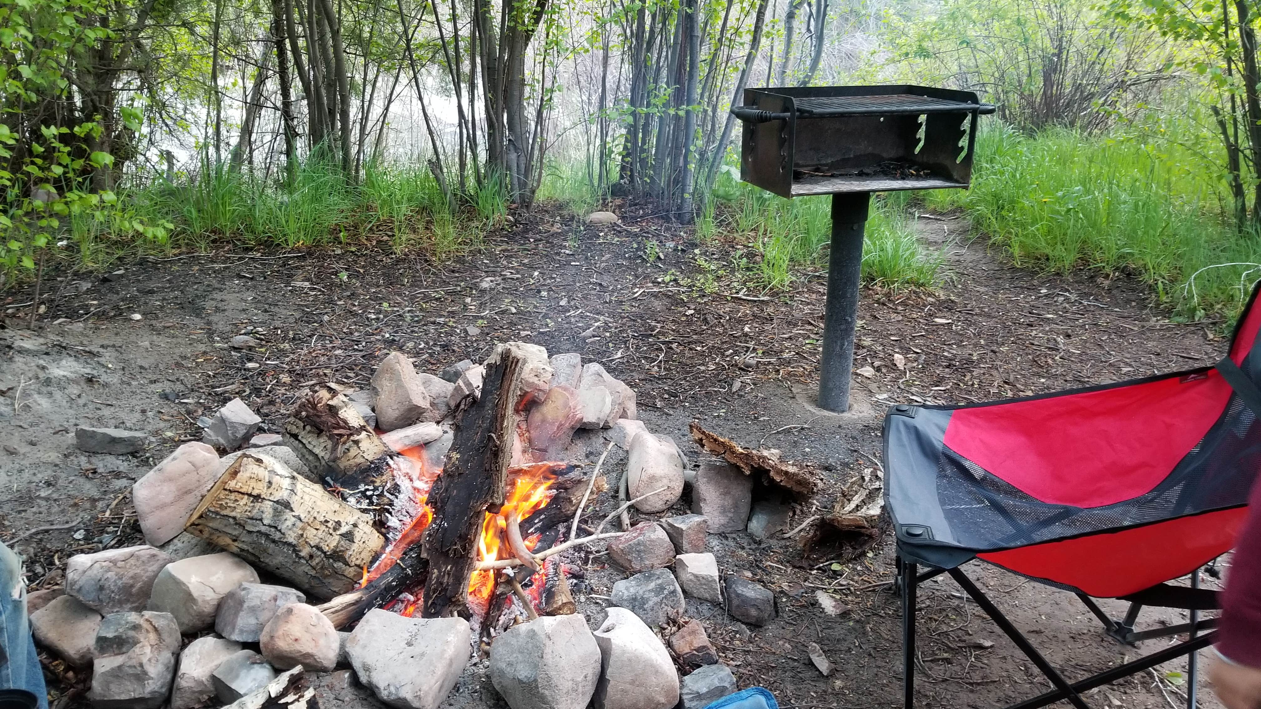 Camper submitted image from BLM Lower Beaver Campground - 5