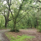 Review photo of Upper Hillsborough Tract by Jeanene A., May 30, 2019