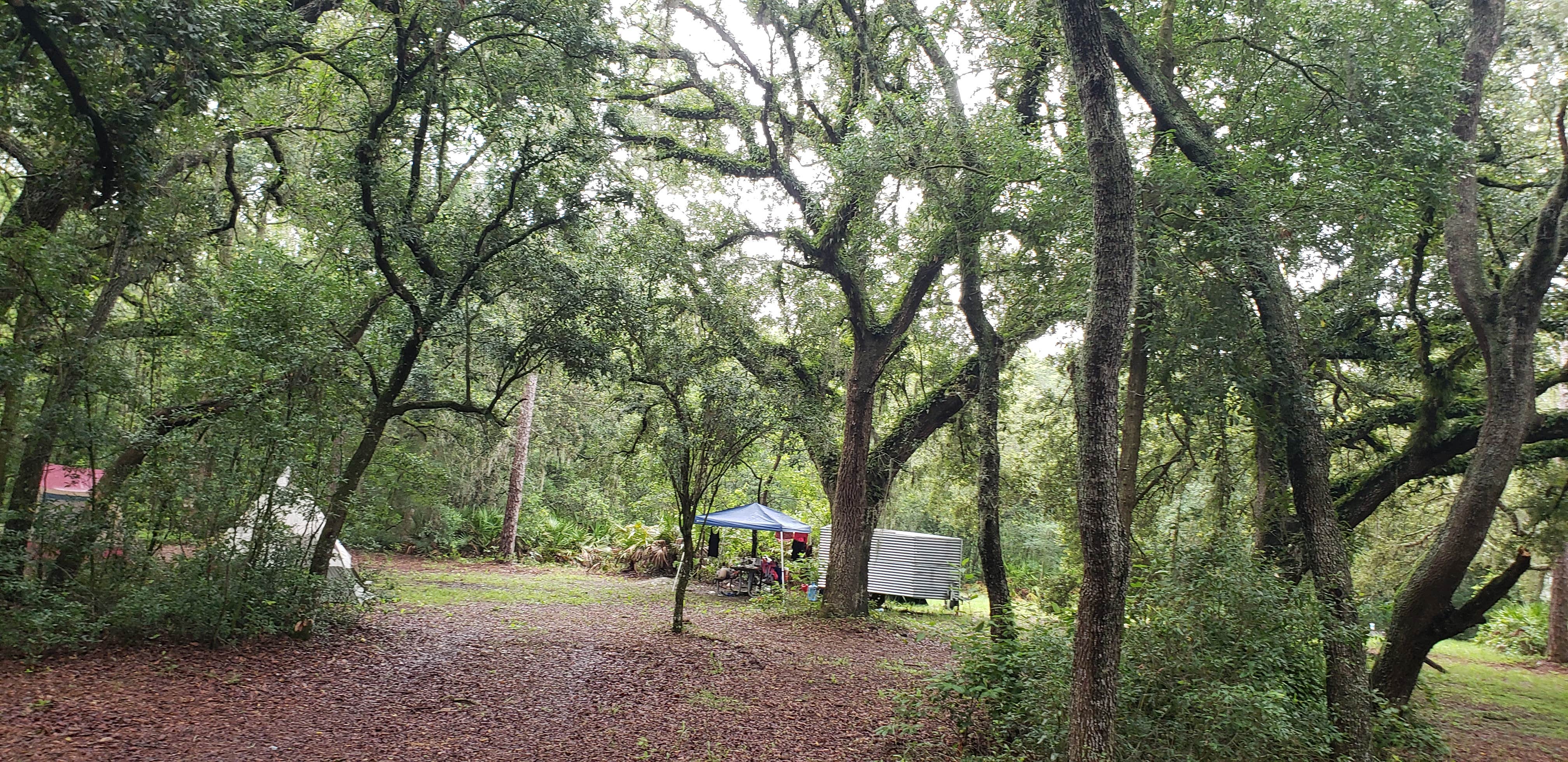 Camper submitted image from Upper Hillsborough Tract - 4