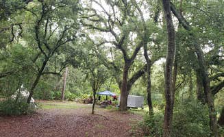 Jeanene A.'s photo of tent camping at Upper Hillsborough Tract near Tampa, FL