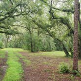 Review photo of Upper Hillsborough Tract by Jeanene A., May 30, 2019