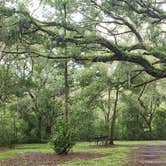 Review photo of Upper Hillsborough Tract by Jeanene A., May 30, 2019