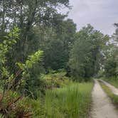 Review photo of Upper Hillsborough Tract by Jeanene A., May 30, 2019