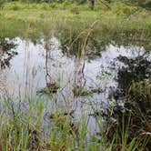 Review photo of Upper Hillsborough Tract by Jeanene A., May 30, 2019