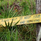 Review photo of Upper Hillsborough Tract by Jeanene A., May 30, 2019