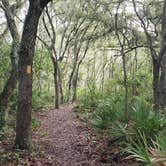 Review photo of Upper Hillsborough Tract by Jeanene A., May 30, 2019