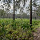 Review photo of Upper Hillsborough Tract by Jeanene A., May 30, 2019