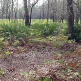 Review photo of Upper Hillsborough Tract by Jeanene A., May 30, 2019