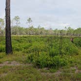 Review photo of Upper Hillsborough Tract by Jeanene A., May 30, 2019