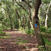 Review photo of Upper Hillsborough Tract by Jeanene A., May 30, 2019