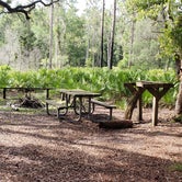 Review photo of Upper Hillsborough Tract by Jeanene A., May 30, 2019