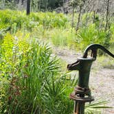 Review photo of Upper Hillsborough Tract by Jeanene A., May 30, 2019