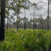 Review photo of Upper Hillsborough Tract by Jeanene A., May 30, 2019