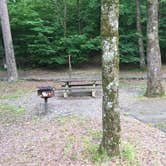 Review photo of Albert Pike Recreation Area by Troy W., May 30, 2019