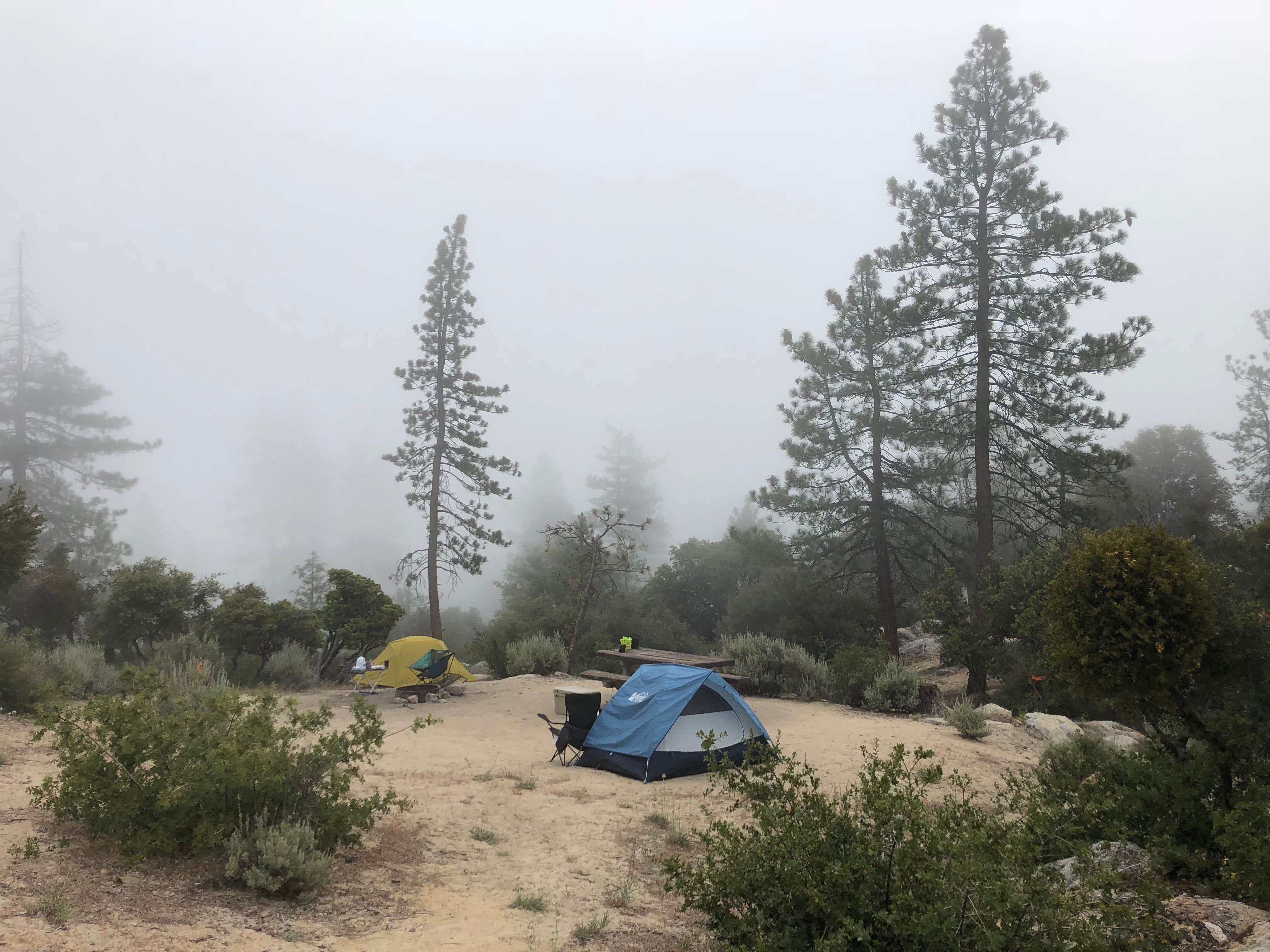 Camper-submitted photo at Chilao Campground near Valyermo, CA