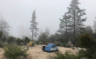 Dora O.'s photo at Chilao Campground near Juniper Hills, CA