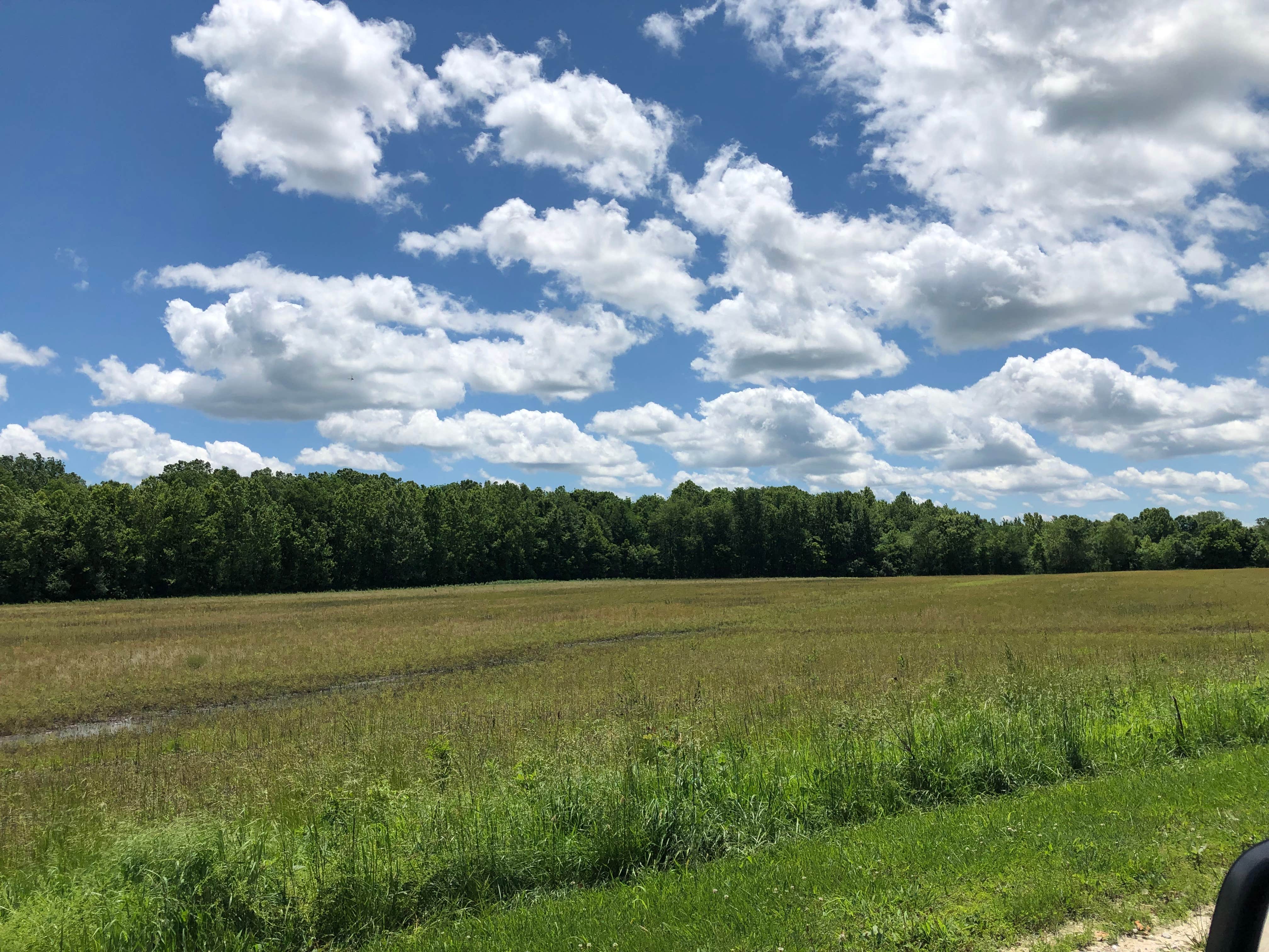 Camper-submitted photo at Scrivner Road Conservation Area near Lohman, MO