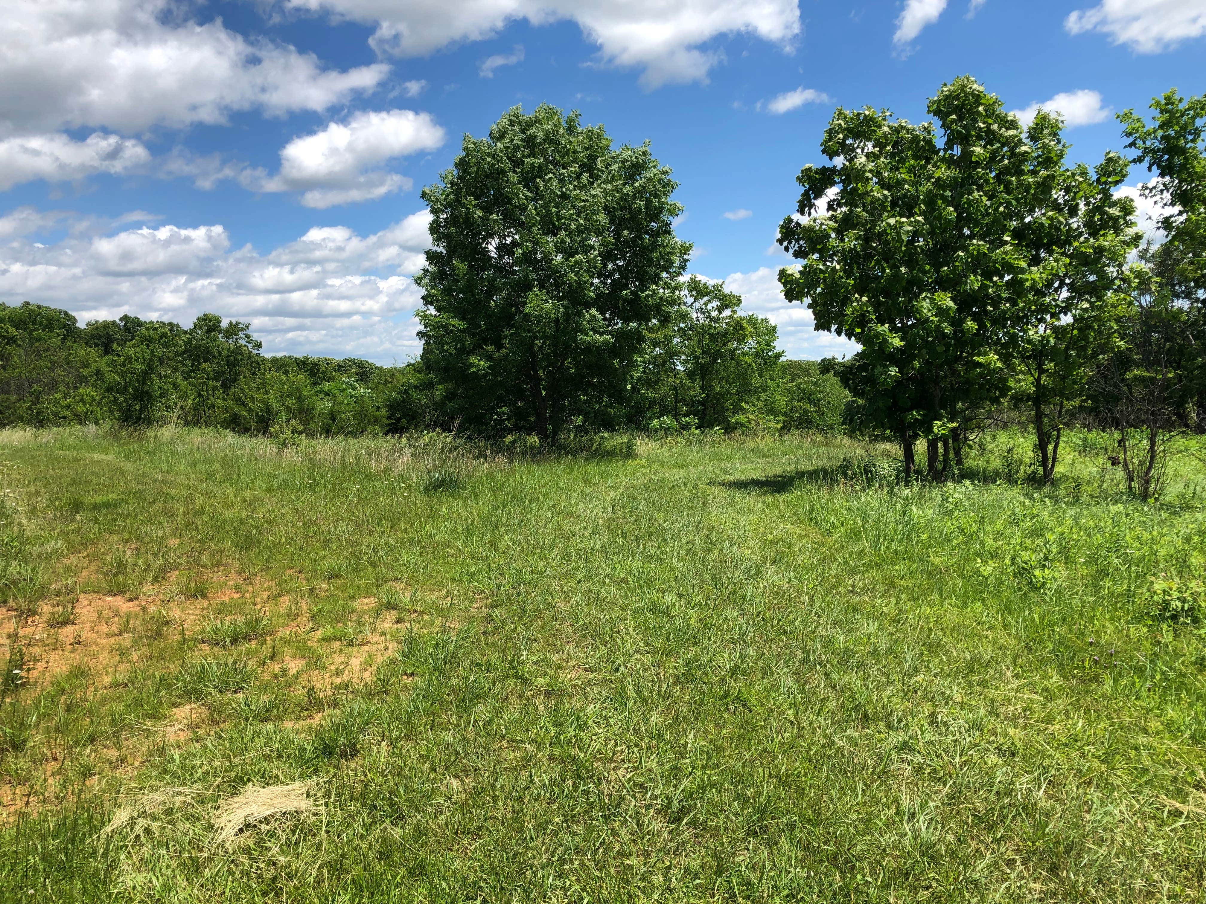 Camper-submitted photo at Scrivner Road Conservation Area near Lohman, MO