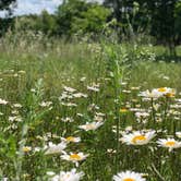 Review photo of Scrivner Road Conservation Area by Josh S., May 30, 2019