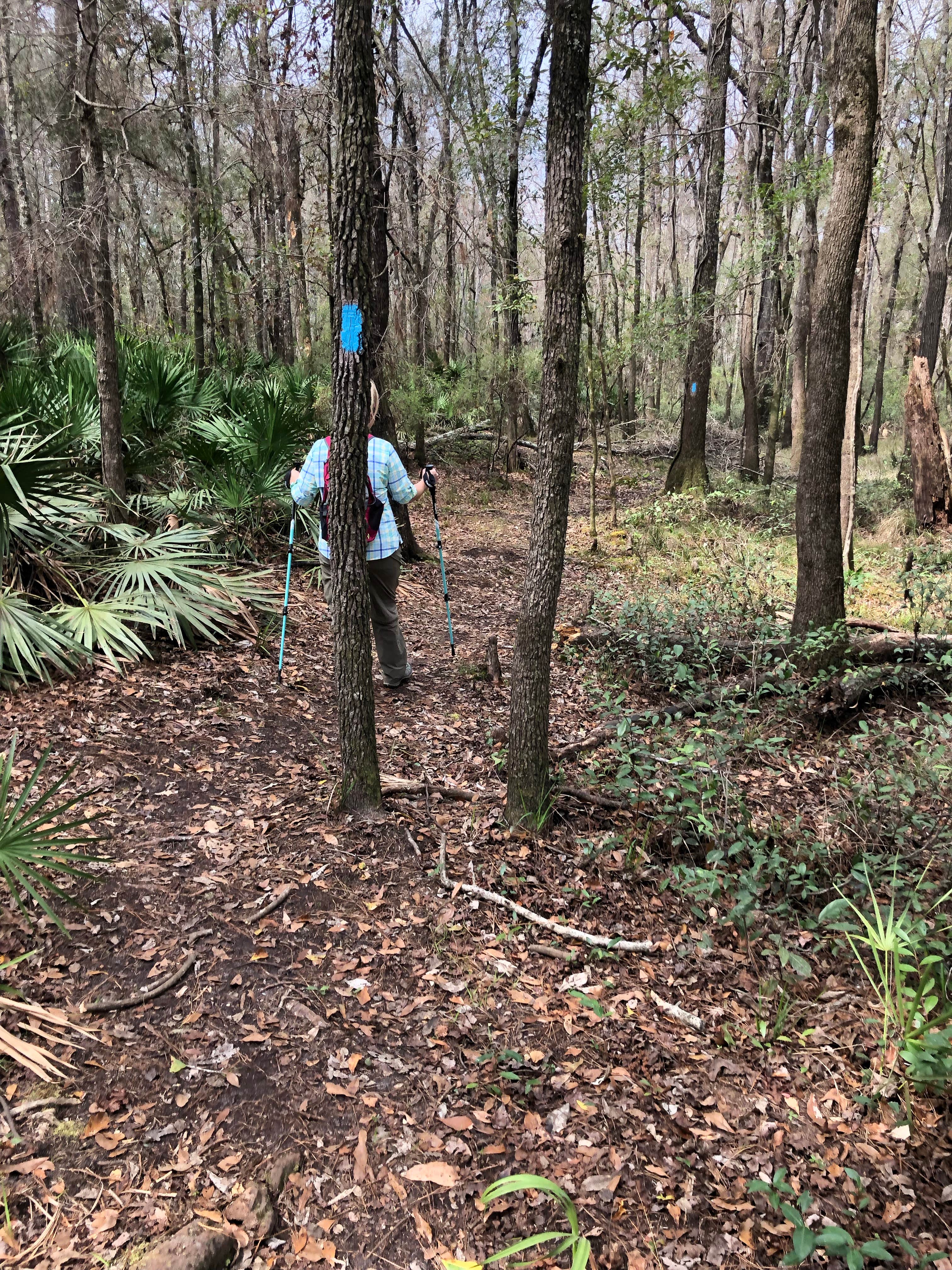 Camper-submitted photo at Jennings State Forest Hammock Campground near Middleburg, FL