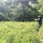 Review photo of Viles Branch Creek Primitive Campsite on the Eagle Rock Loop by Troy W., May 30, 2019