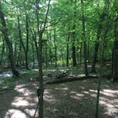 Review photo of Viles Branch Creek Primitive Campsite on the Eagle Rock Loop by Troy W., May 30, 2019