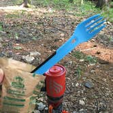 Review photo of Viles Branch Creek Primitive Campsite on the Eagle Rock Loop by Troy W., May 30, 2019