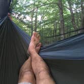 Review photo of Viles Branch Creek Primitive Campsite on the Eagle Rock Loop by Troy W., May 30, 2019