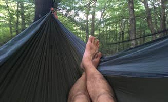 Troy W.'s photo of tent camping at Viles Branch Creek Primitive Campsite on the Eagle Rock Loop near Mountain Pine, AR